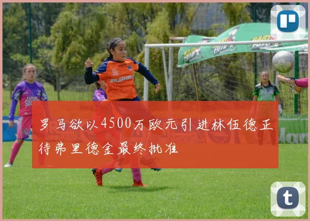 罗马欲以4500万欧元引进林伍德正待弗里德金最终批准