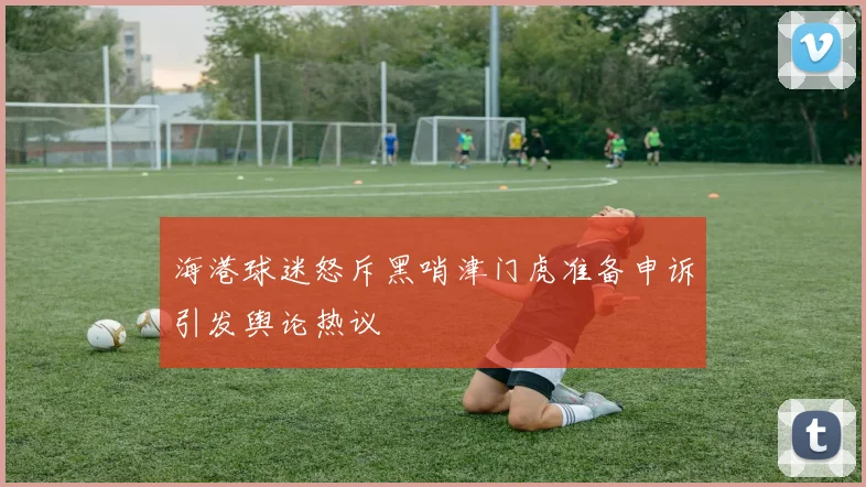 海港球迷怒斥黑哨津门虎准备申诉引发舆论热议